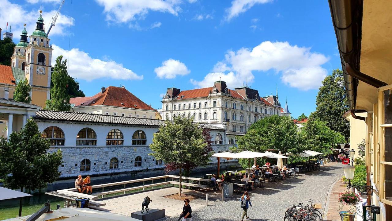 Petkovsek Rooms And Apartments Ljubljana Exteriör bild