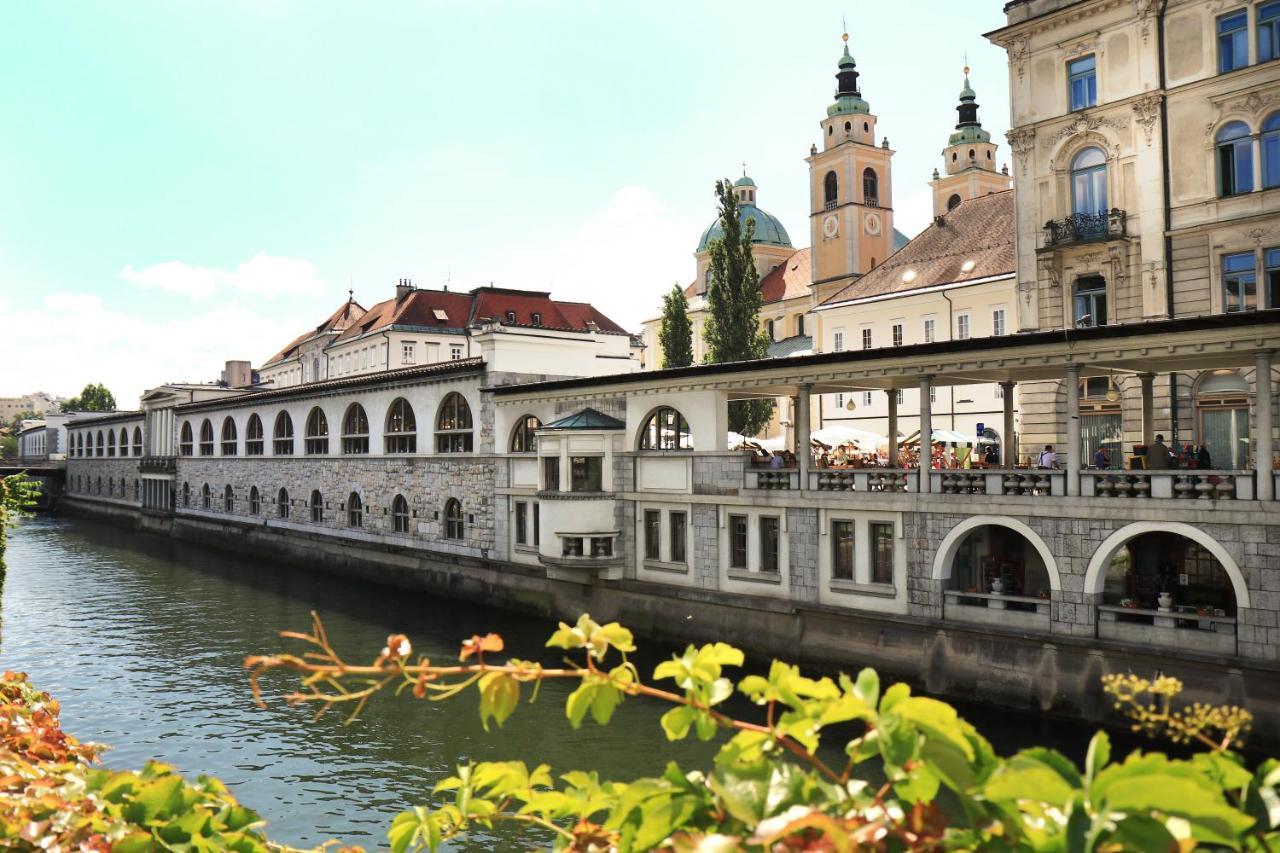 Petkovsek Rooms And Apartments Ljubljana Exteriör bild