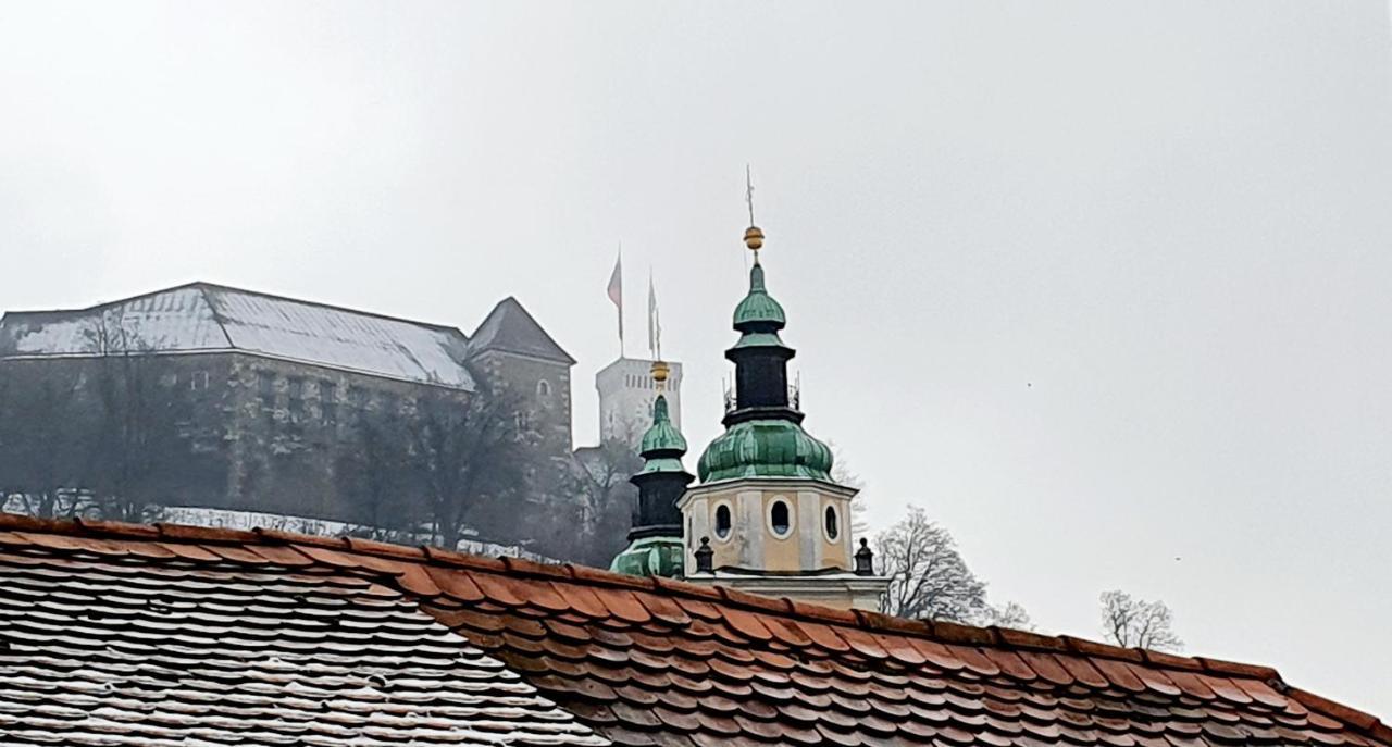 Petkovsek Rooms And Apartments Ljubljana Exteriör bild